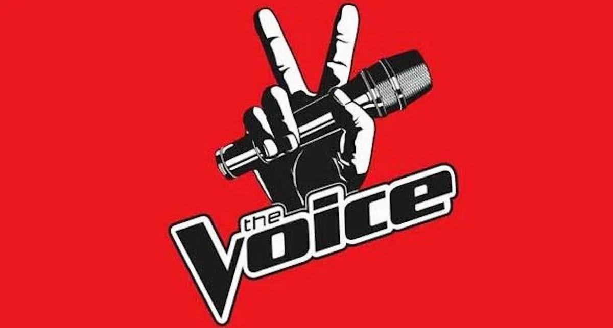 「The Voice」コーチは密かに女の赤ちゃんを出産しました：歌手Jessica Mauboyにおめでとう