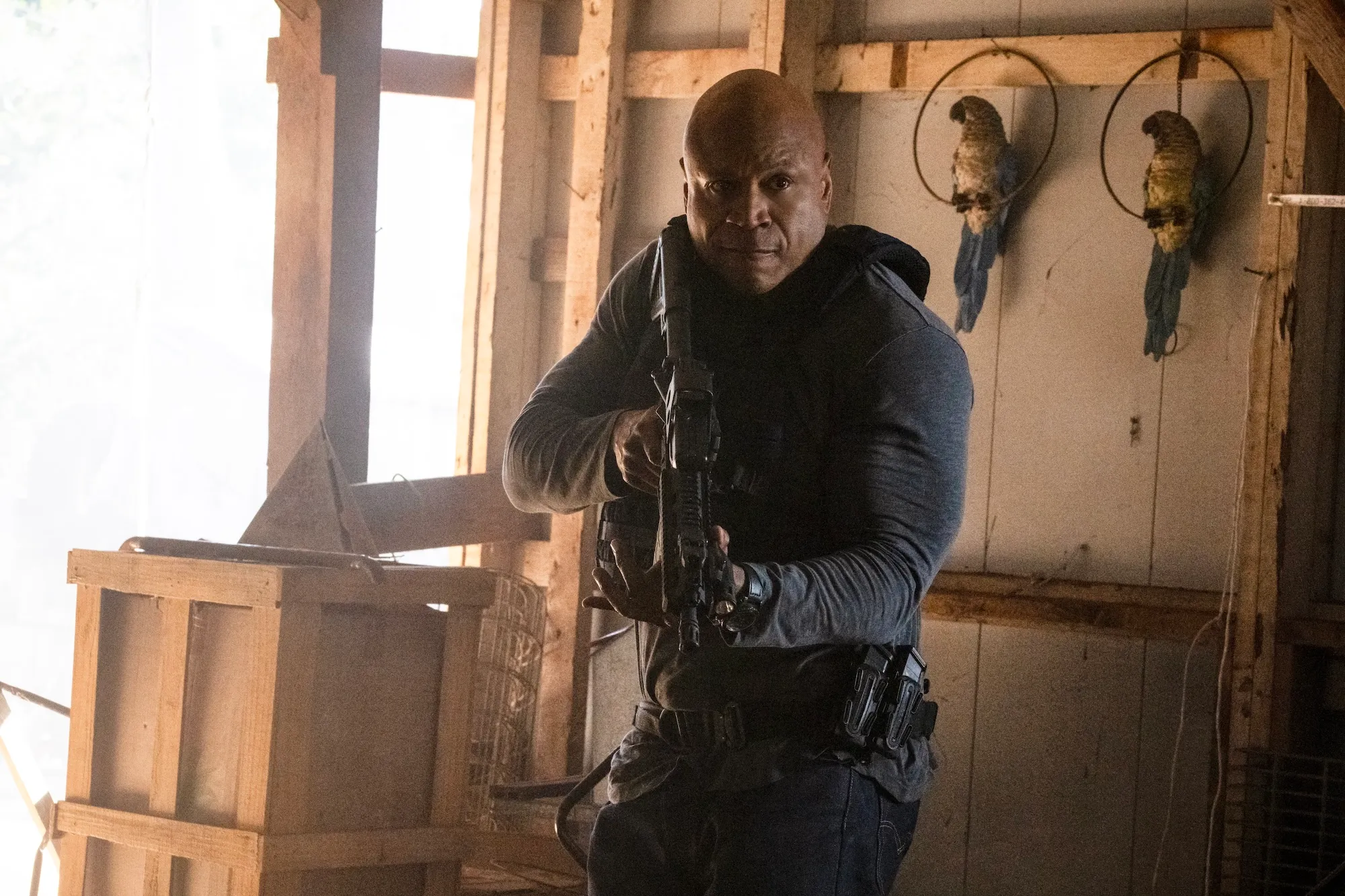 ll cool J Reprising 'NCIS：ロサンゼルスの「NCIS」の役割
